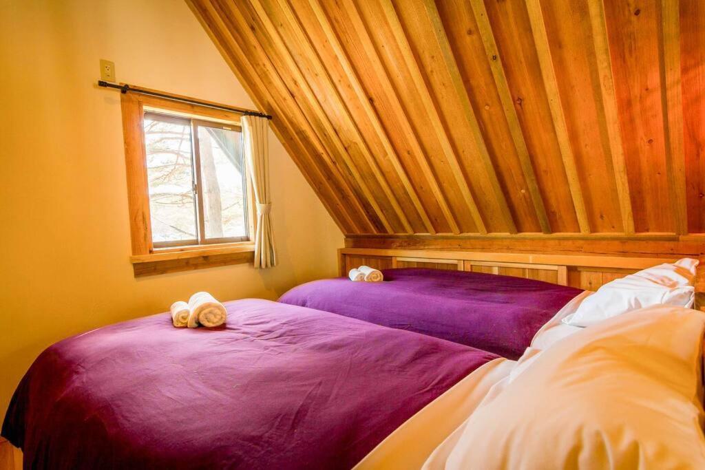Misorano Chalet Хакуба-Мура Экстерьер фото